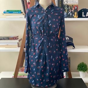 Abercrombie and Fitch Mini Button-up Dress